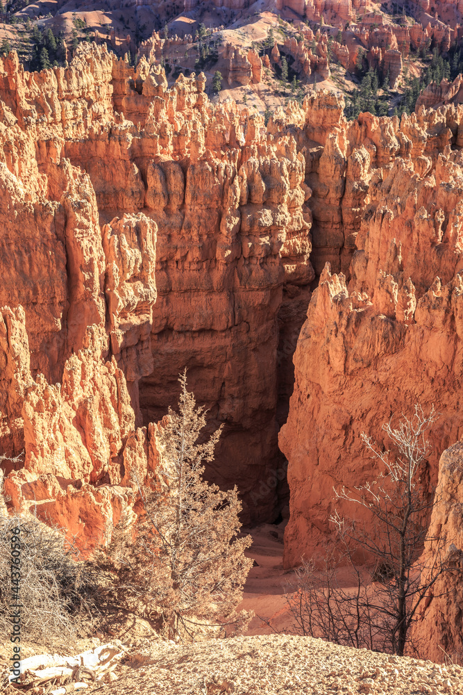 Queens Garden Trail Views , Bryce Canyon National Park, Utah Queens Garden Trail Views , Bryce Canyon National Park, Utah