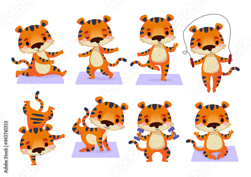 A set of cute tigers who go in for sports, yoga and fitness. The tiger stands in different assana poses and monitors its health. Cartoon cheerful character, symbol of 2022 new year. Isolate on white