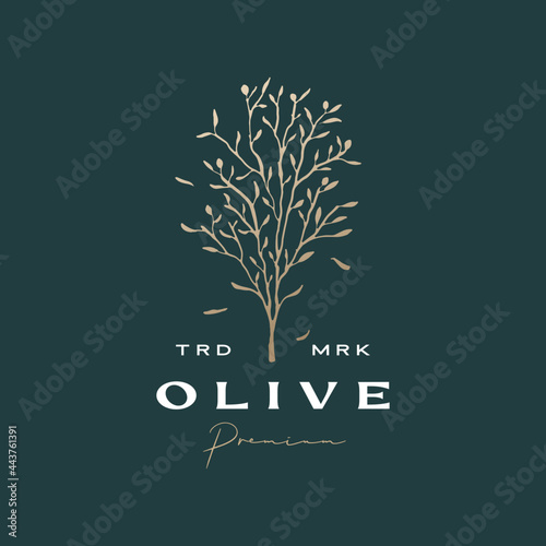 olive tree sophisticated aesthetic logo vector icon illustration