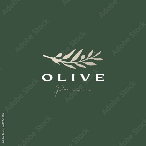 olive branch sophisticated aesthetic logo vector icon illustration
