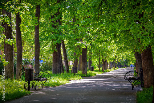 Canvas Print Green boulevard in Ivanovo city on a summer day, Ivanovo region of Russia