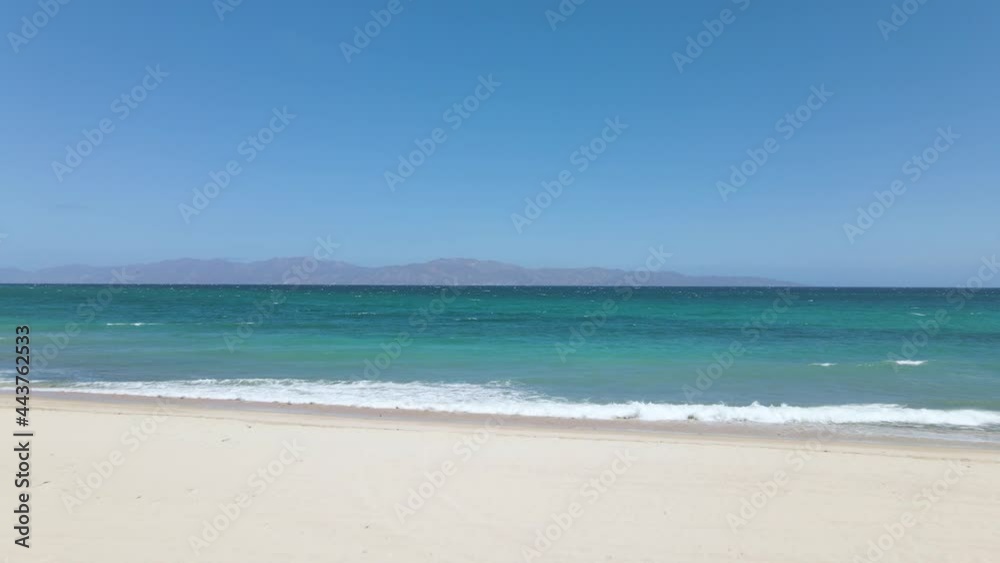Palm tree on beautiful tropical beach, empty seaside paradise beach, La Ventana Mexico Palm tree on beautiful tropical beach, empty seaside paradise beach, La Ventana Mexico