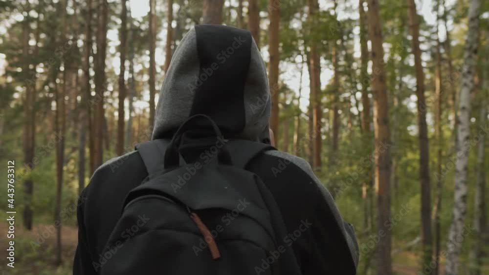 Tourism, Hiking and Outdoor Recreation. Back View of a Young Sportsman With a Backpack Staying in the Middle of a Pine Forest on a Sunny Autumn Day. Hiking Concept Tourism, Hiking and Outdoor Recreation. Back View of a Young Sportsman With a Backpack Staying in the Middle of a Pine Forest on a Sunny Autumn Day. Hiking Concept