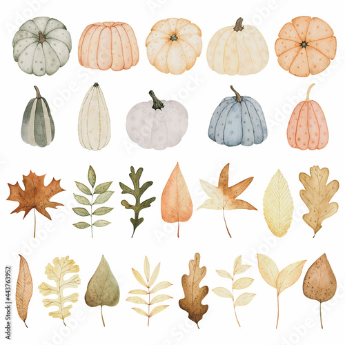 Watercolor autumn set with pumpkins and leaves. Hand drawn fall illustration for Thanksgiving invitations, greeting cards and other.