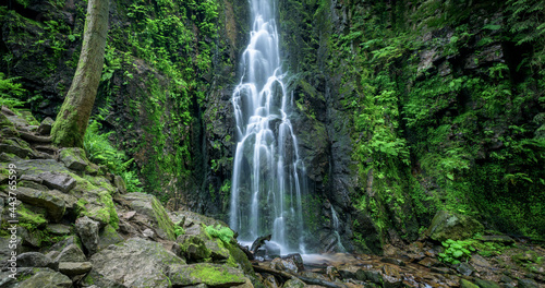 Fototapeta Naklejka Na Ścianę i Meble -  Burgbach Wasserfall bei Bad Rippoldsau im Nordschwarzwald