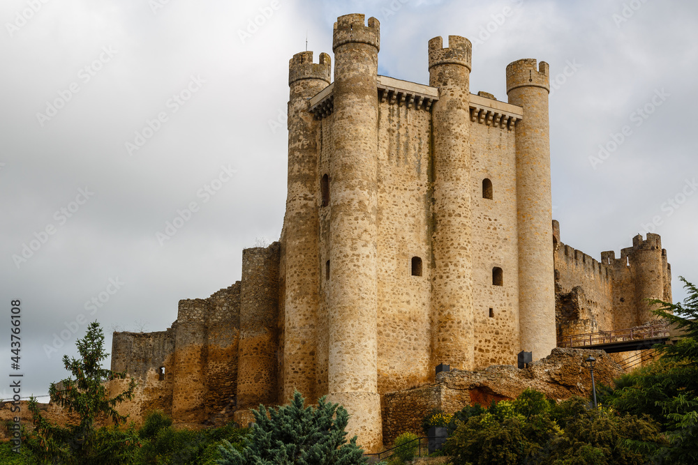 Tower of the Homage of the Castle of Coyanza. Valencia de Don Juan, Province of León, Spain.