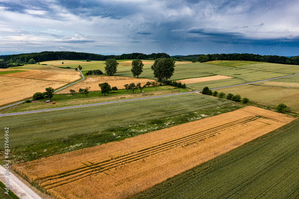 Farmland and agriculture at Grandenborn in Hesse
