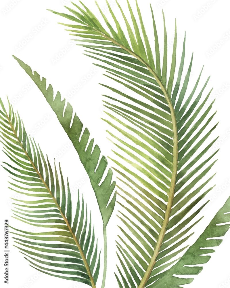 Watercolor vector arrangement of tropical leaves isolated on a white background.