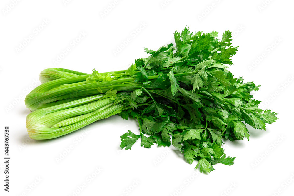 Fresh Celery isolated on white background. Fresh Celery isolated on white background.