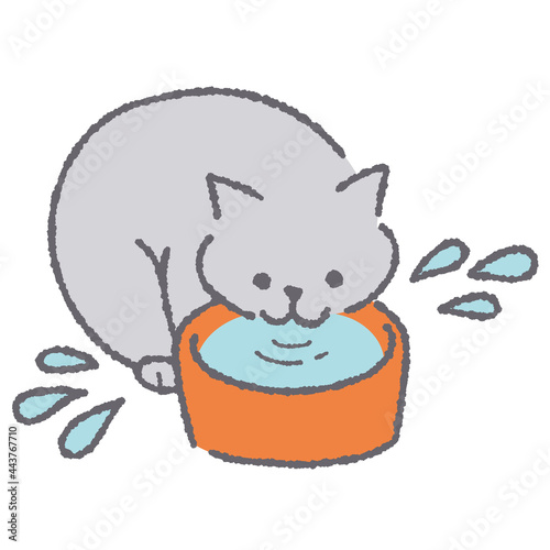 水を飲む猫のイラスト