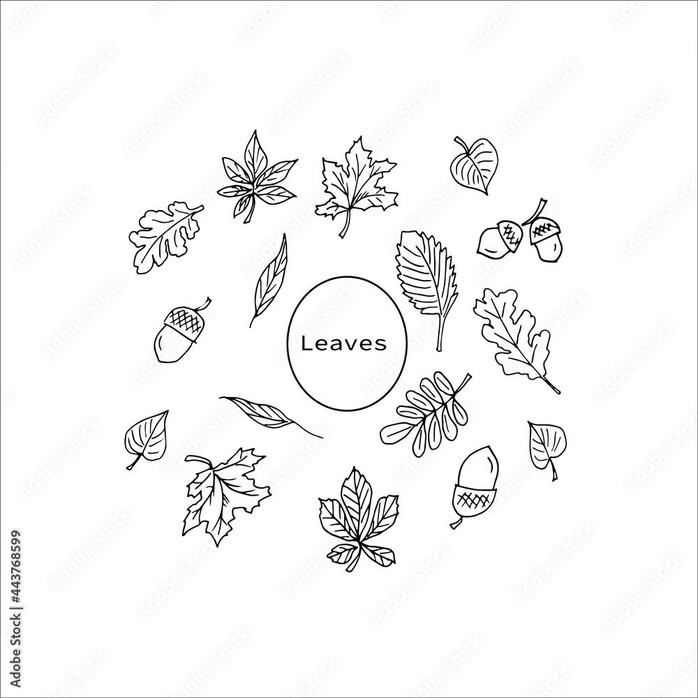 hand drawn leaves hand drawn leaves