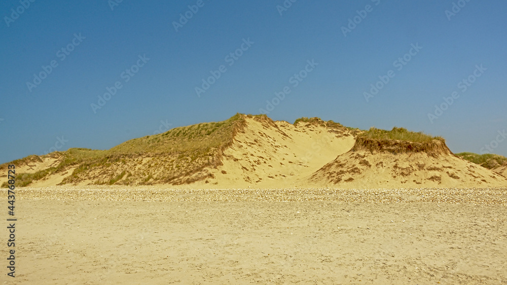 Sand beach and dunes on the North sea Opal coast under a clear blue sky, Nord PAs De calais, France 
