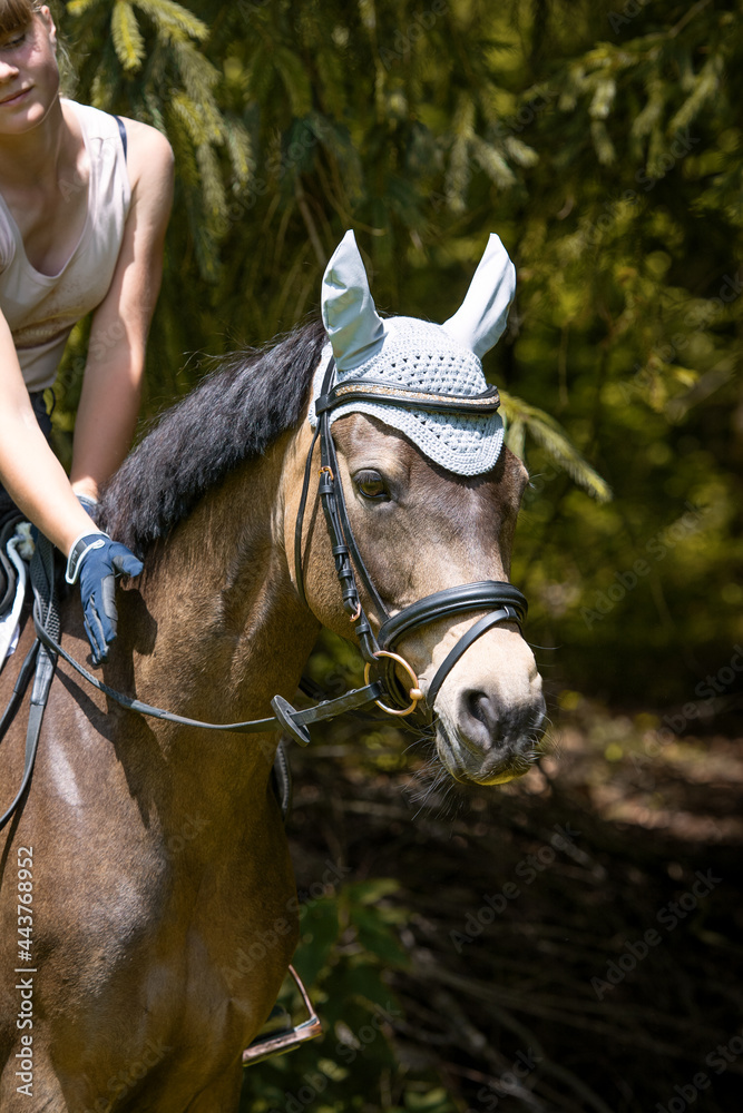 Obraz premium Mensch & Pferd