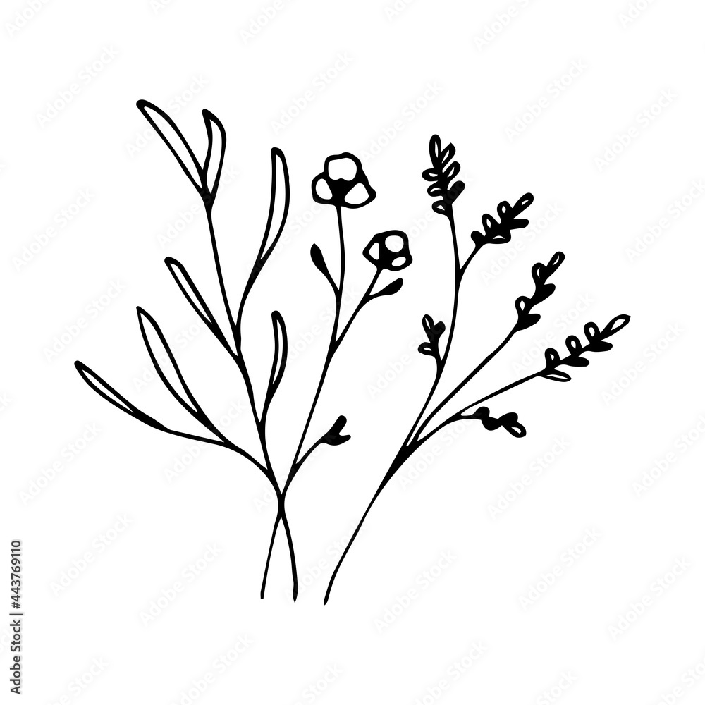illustration of botanical line art floral leaves, plants. Hand drawn sketch branches isolated on white background. Vector illustration.