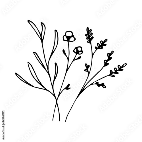 illustration of botanical line art floral leaves  plants. Hand drawn sketch branches isolated on white background. Vector illustration.