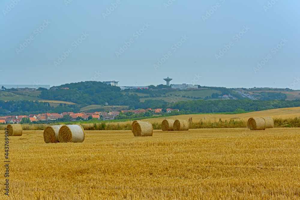 Landscape with cylindrical hay bales on a field in Wimereux, France