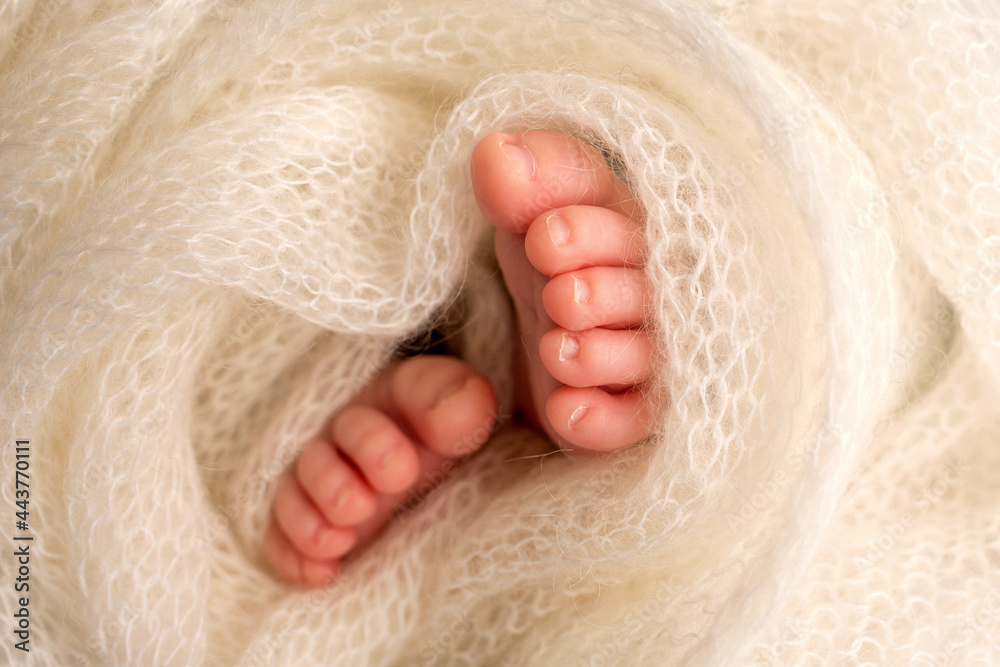 Feet of a newborn close-up in a woolen blanket. Pregnancy, motherhood, preparation and expectation of motherhood, the concept of the birth of a child. Feet of a newborn close-up in a woolen blanket. Pregnancy, motherhood, preparation and expectation of motherhood, the concept of the birth of a child.