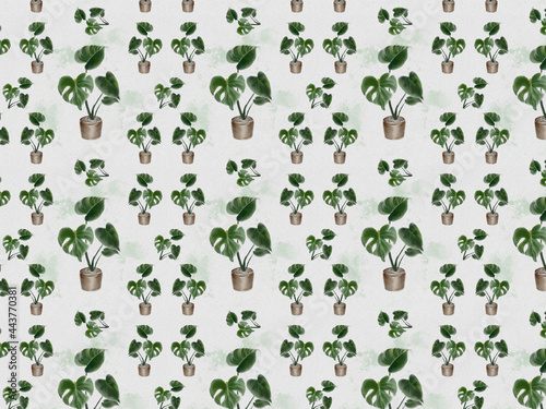 Monstera Plant illustration   Seamless Pattern Background
