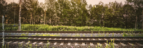 Photos Empty long rail road against green trees side view