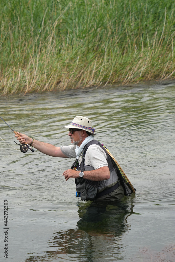 fly fisherman fishing in a small wild river fly fisherman fishing in a small wild river
