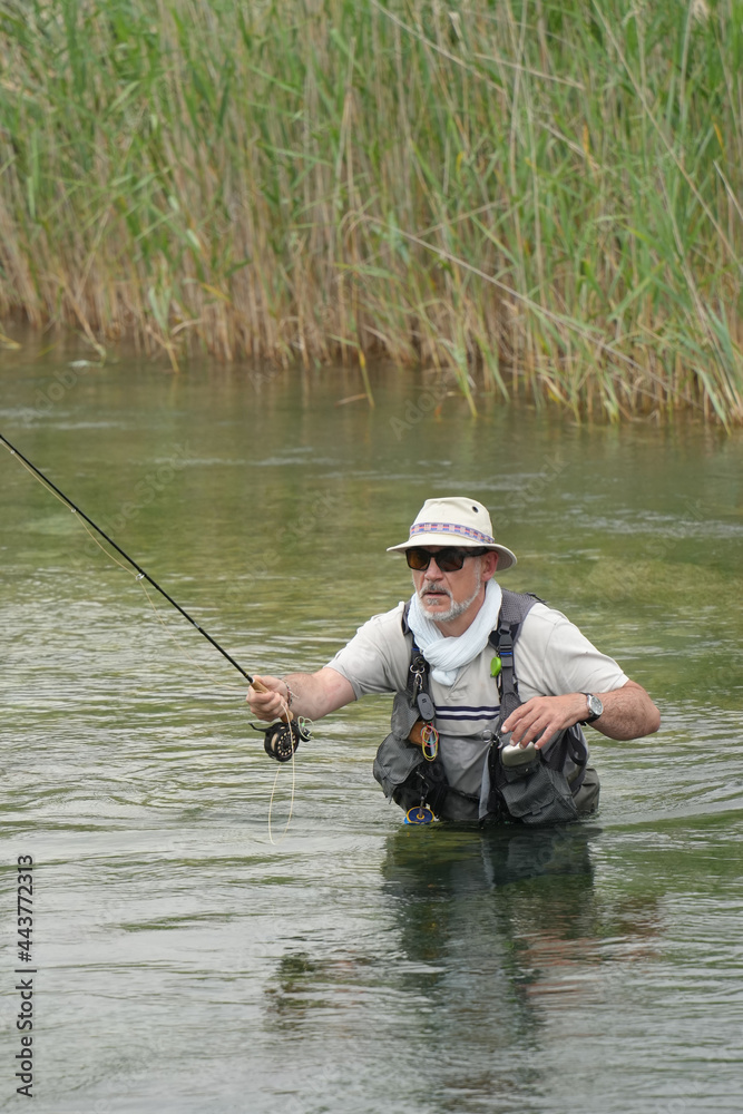 fly fisherman fishing in a small wild river fly fisherman fishing in a small wild river