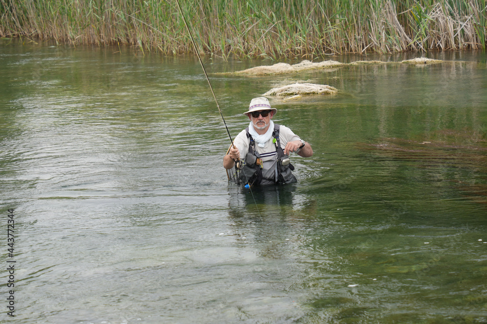 fly fisherman fishing in a small wild river fly fisherman fishing in a small wild river