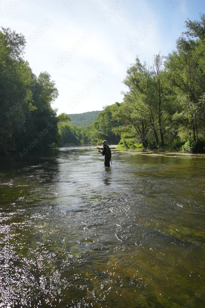 fly fisherman fishing in a small wild river fly fisherman fishing in a small wild river