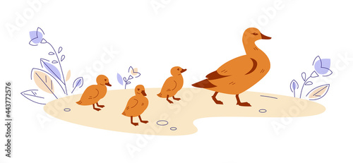 Mother duck with ducklings in nature. Vector illustration in flat cartoon style.