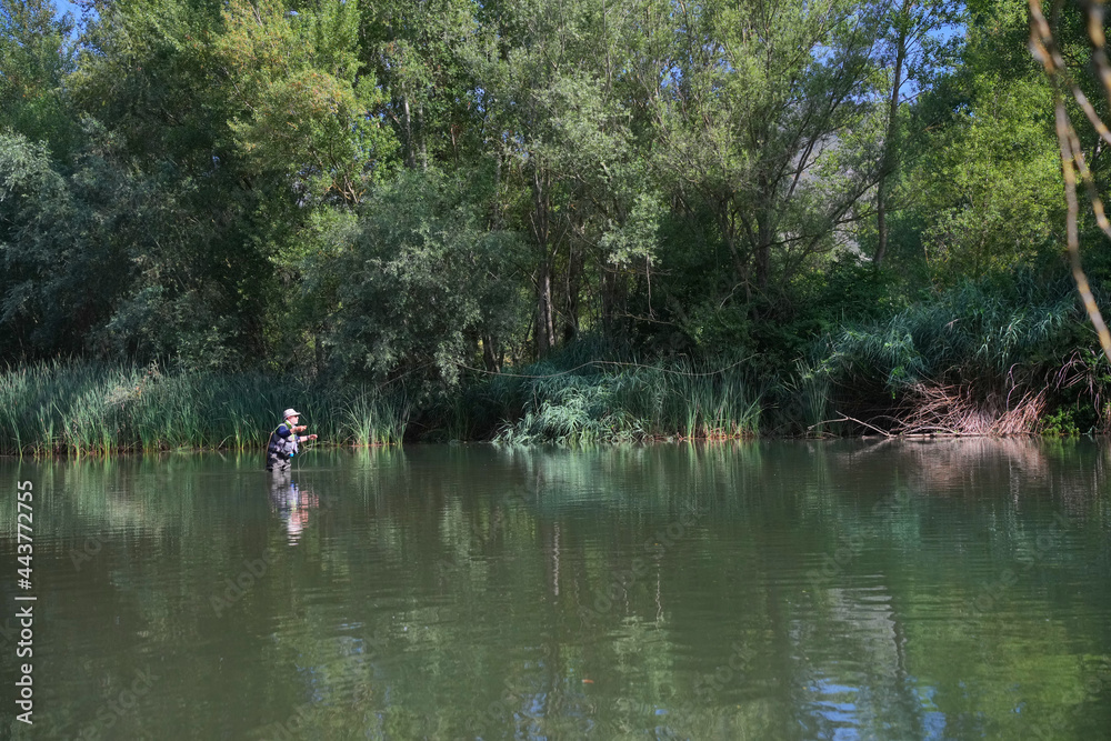 fly fisherman fishing in a small wild river fly fisherman fishing in a small wild river