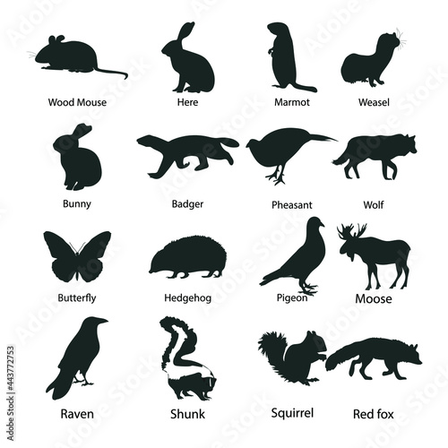 Woodland animals in silhouette stock illustration. Wood mouse  here  marmot  weasel  bunny  badger  pheasant  wolf  butterfly  hedgehog  pigeon  moose  raven  skunk  squirrel  red fox.