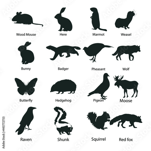 Woodland animals in silhouette stock illustration. Wood mouse, here, marmot, weasel, bunny, badger, pheasant, wolf, butterfly, hedgehog, pigeon, moose, raven, skunk, squirrel, red fox.