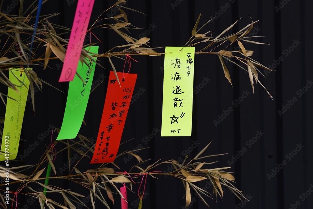 Foto de Japanese Tanabata Festival is held on July 7th every year