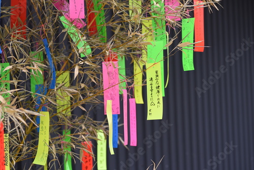Εκτύπωση καμβά Japanese Tanabata Festival  is held on July 7th every year,  People write their wishes on colorful strips of paper called tanzaku