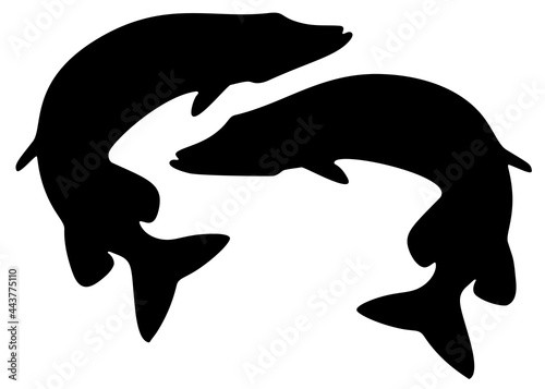 Big pike jumping. Vector image.