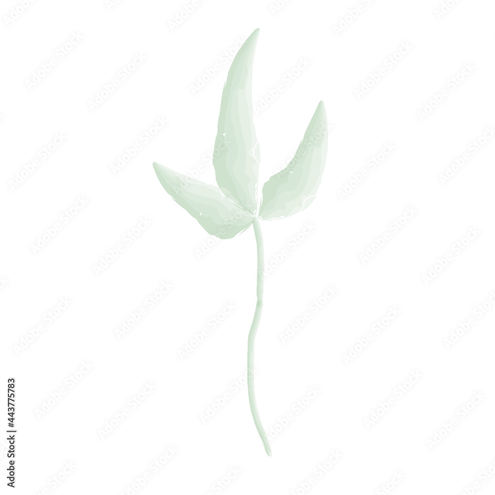 Obraz premium Hand drawn vector illustration leaves. Logo design element for summer collection. Elements for the design of postcards and invitations.