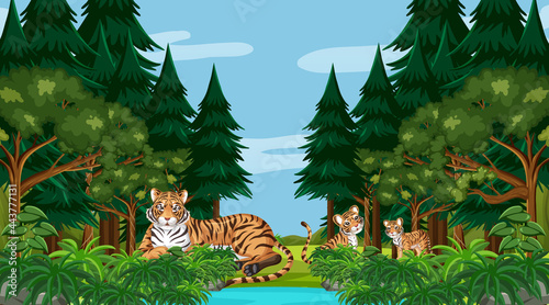 Tiger family in forest or rainforest scene with many trees