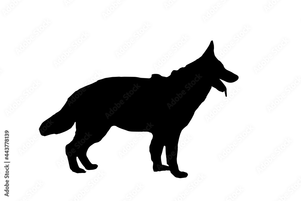 Black silhouette of a German Shepherd against a white background. Adult dog standing with mouth open and tongue hanging out.