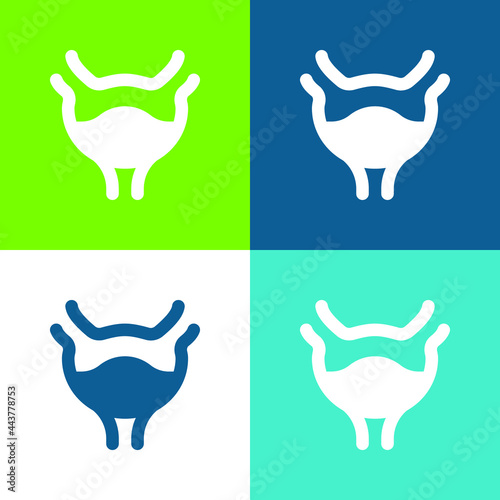 Bladder Flat four color minimal icon set