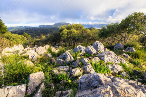 An Evening on Monte Pellegrino mountain near Palermo on Sicily in Italy  Europe