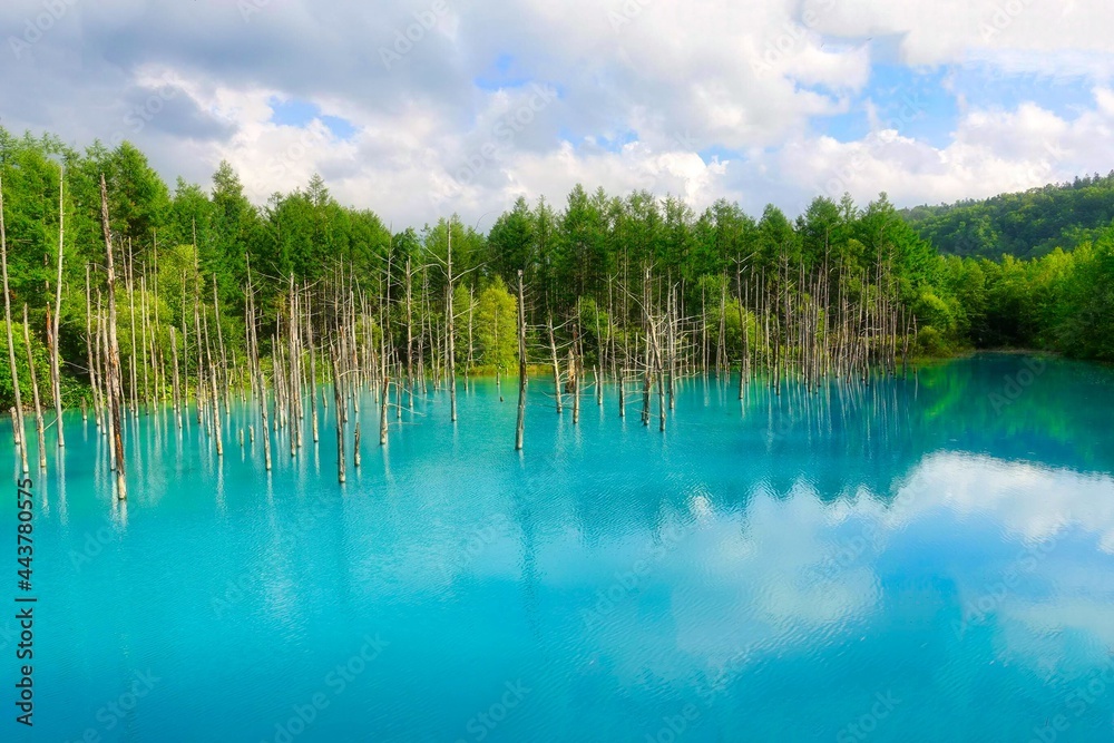 北海道　青空と青い池