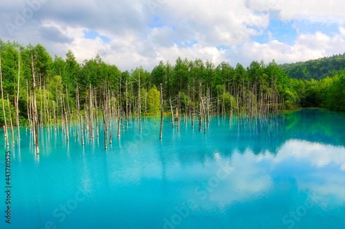 北海道 青空と青い池