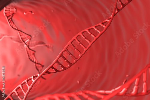 Red chromosome on red background, abstract background for science or medical. 3d rendering photo