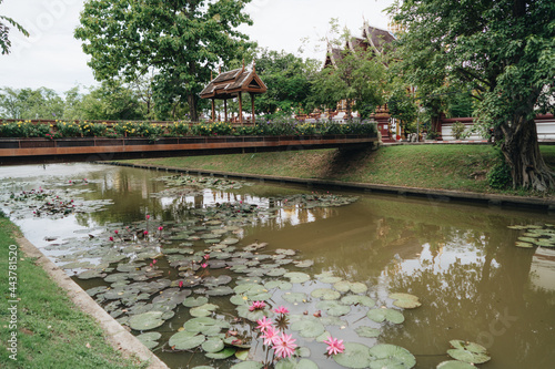 View on a channel with fountains, big trees and streets on the banks. Chiang Mai