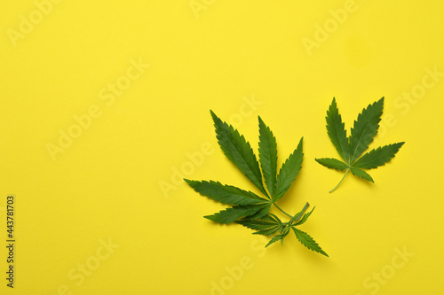 Cannabis leaves on yellow background, space for text