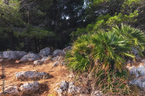 Coastal Mountain of Monte Gallo near Palermo on Sicily in Italy, Europe in Summer