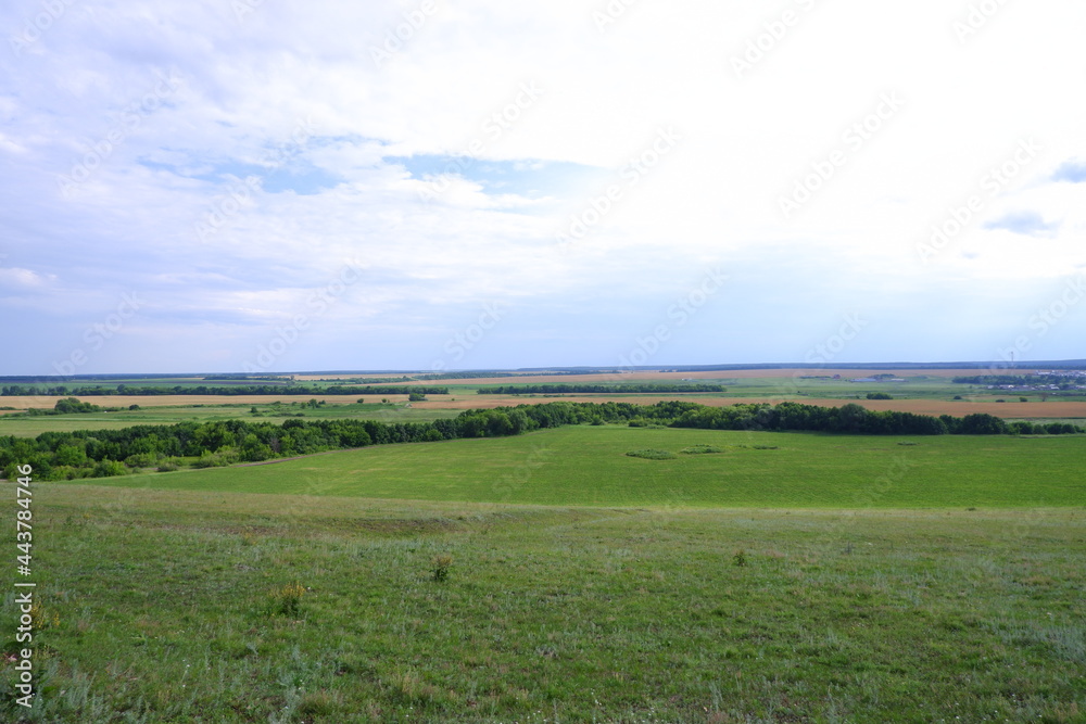 Fototapeta premium field and blue sky
