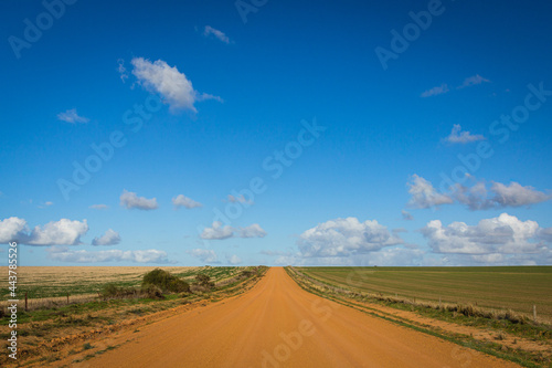 オーストラリア　西オーストラリア州にあるハット・リバー公国の広大な小麦畑と一本道 photo