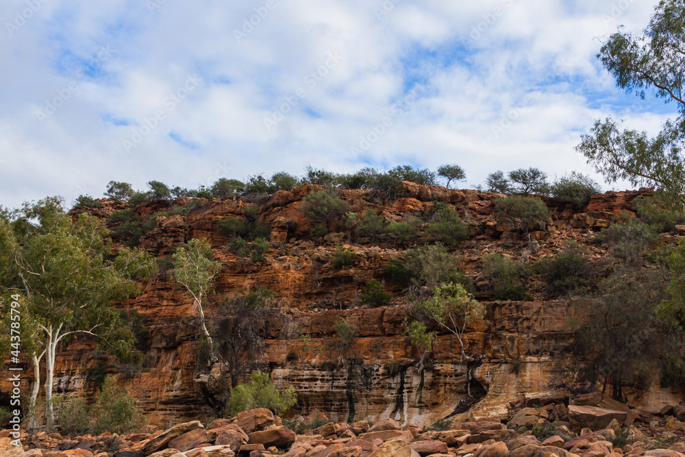 オーストラリア　西オーストラリア州にあるカルバリー国立公園の風景