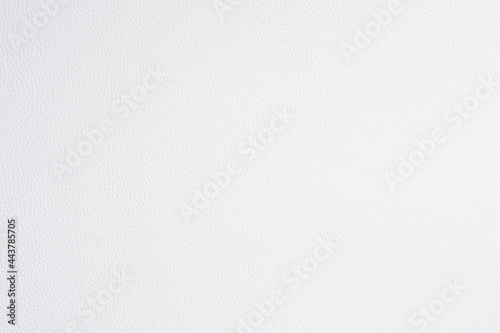 White fine texture of genuine leather. Natural expensive products