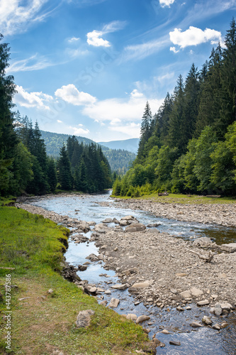 mountain river runs through forested valley. countryside scenery on a summer day. trees and stones on the shore. ecology problem with low ammount of water. stream shallowing or drought concept photo